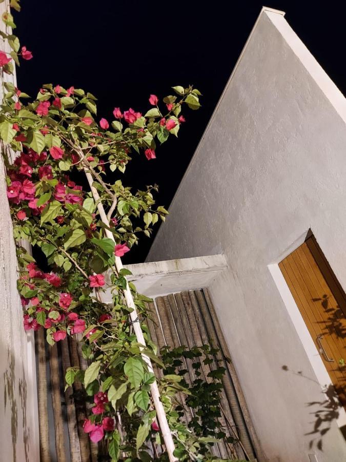 Alto Paraíso de Goiás Statera Hostヴィラ エクステリア 写真
